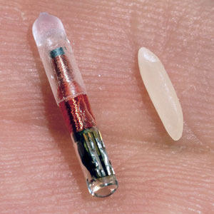 RFID implants